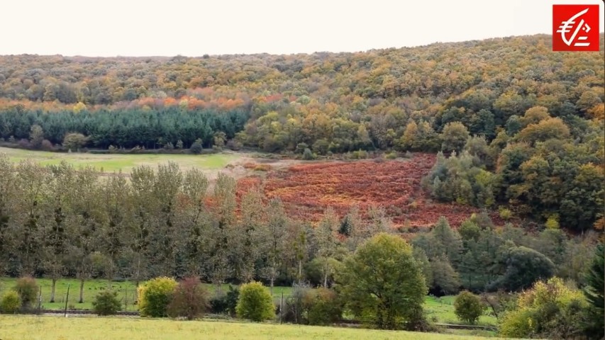 SAUVE_QUI_PNEU_CAISSE_D_EPARGNE3 (Petit)